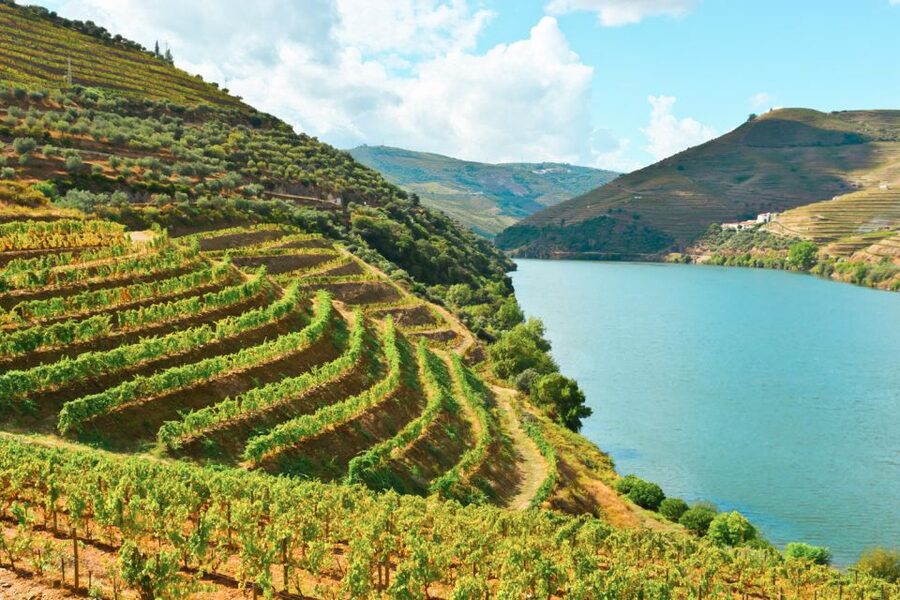 Porto: Douro Valley Tour with Wine Tasting, Cruise and Lunch - A traditional lunch with wine included