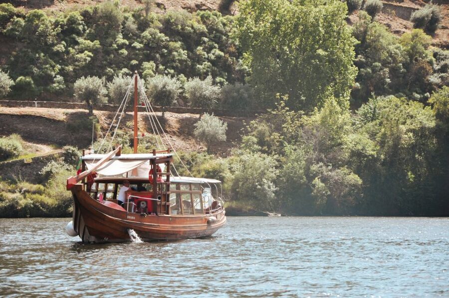 Porto: Douro Valley Tour with Wine Tasting, Cruise and Lunch - Second tasting: more Port, more scenery, and some repetition