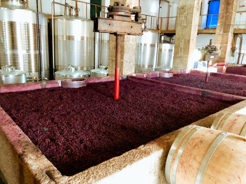 Porto: Douro Valley Tour with Wine Tasting, Cruise and Lunch - Sabrosa photo stop and the return to Porto