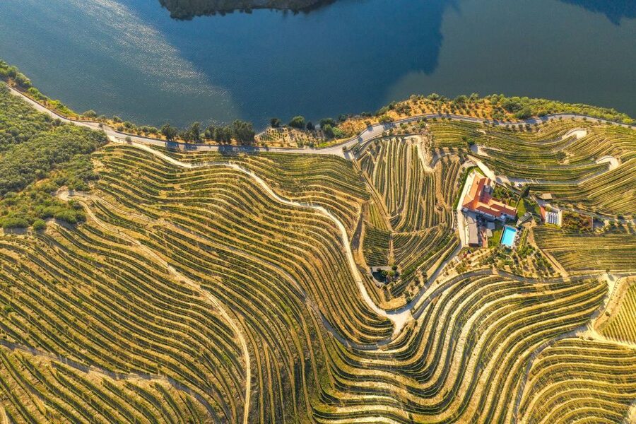 Porto: Douro Valley Tour with Wine Tasting, Cruise and Lunch - Guides, drivers, and the group atmosphere