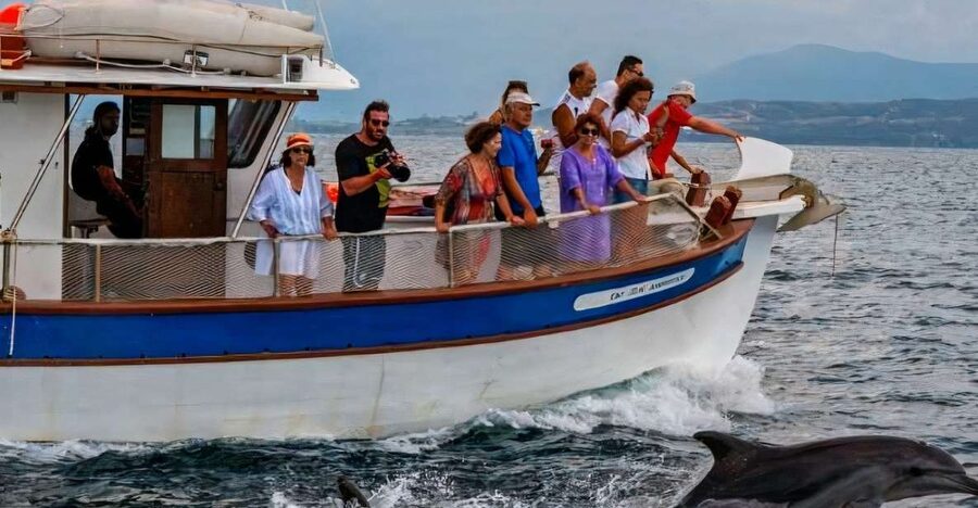 Preveza: Dolphin Watching Cruise with Lunch and Drinks - A Quiet Bay, Clear Water, and Time to Swim