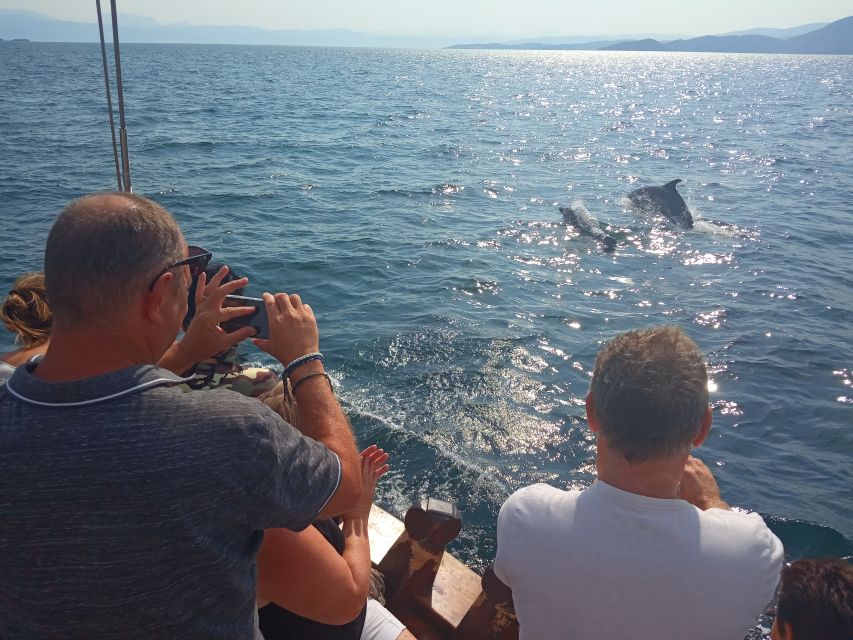 Preveza: Dolphin Watching Cruise with Lunch and Drinks - Fresh Greek Lunch Served on the Boat