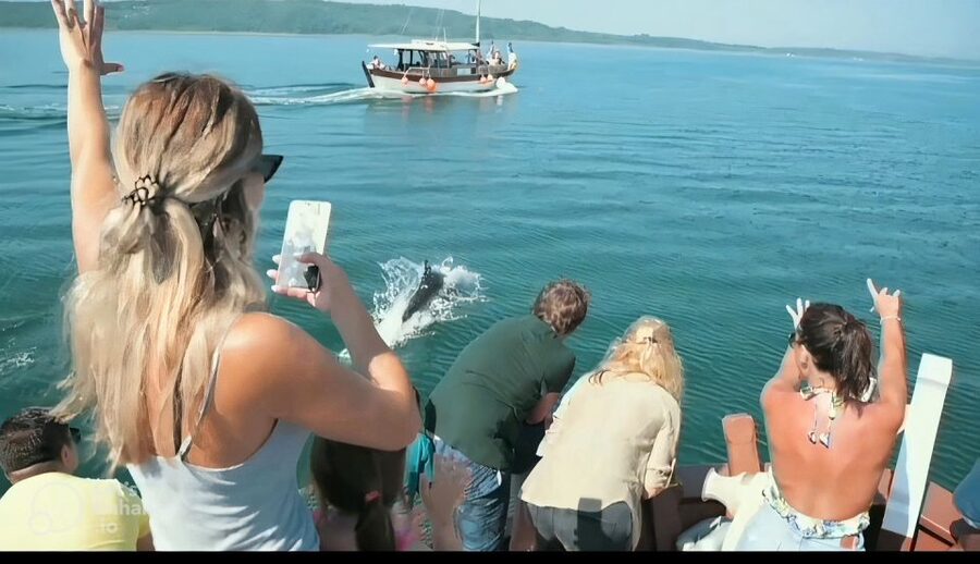 Preveza: Dolphin Watching Cruise with Lunch and Drinks - The Return Sailing to Preveza