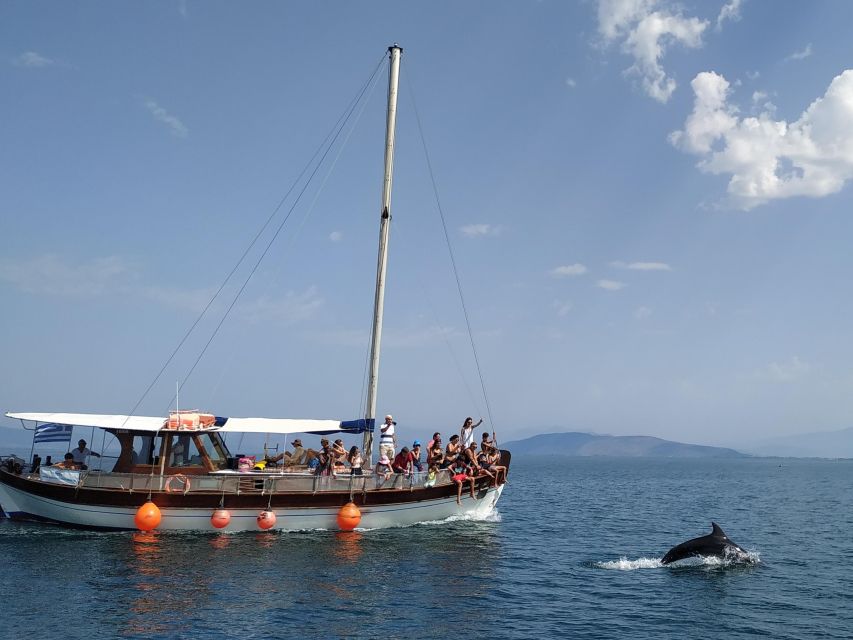 Preveza: Dolphin Watching Cruise with Lunch and Drinks - Learning the Amvrakikos Gulf Before the Dolphins