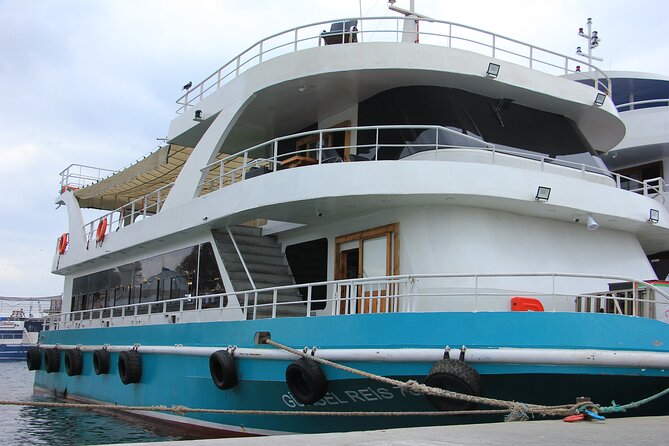 Princes' Islands Cruise with Lunch and Transfer Full-Day Tour - Leaving Istanbul by privately owned boat