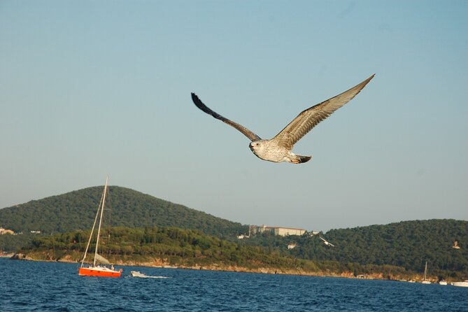 Princes' Islands Cruise with Lunch and Transfer Full-Day Tour - Four hours to make Büyükada your own