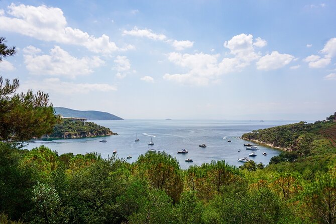 Princes' Islands Cruise with Lunch and Transfer Full-Day Tour - Lunch on board keeps the day simple