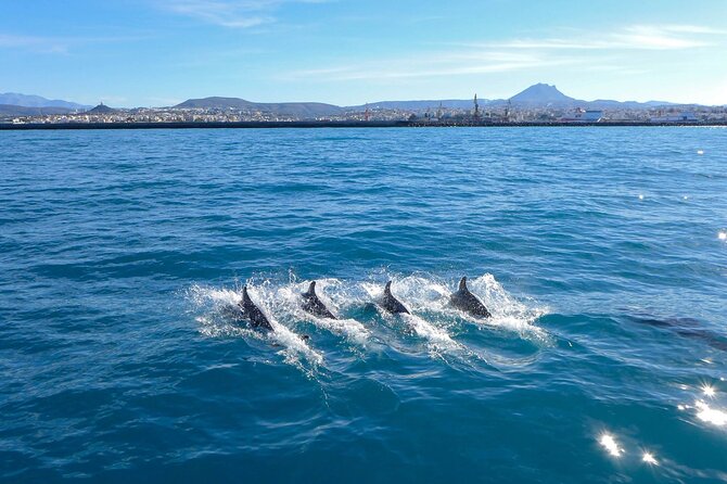 Private luxury Escape Sailing, Snorkel and Lunch Cruise - Lunch served on the boat