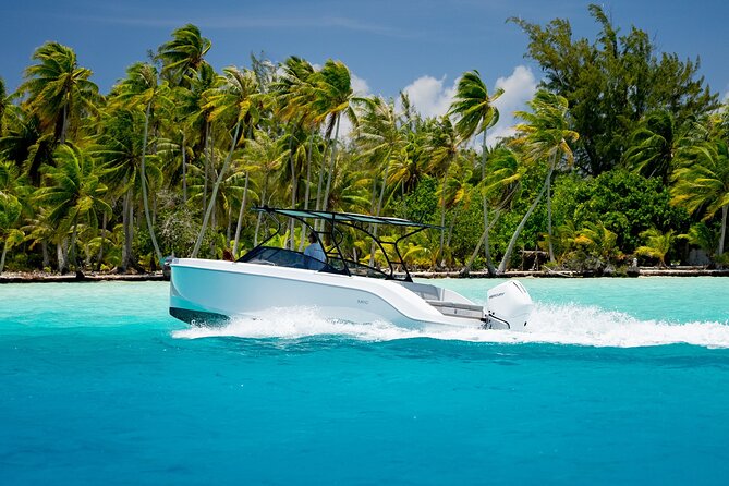Private Reef Discovery Luxury Motu Lunch Cruise in Bora Bora - Key points to know before booking