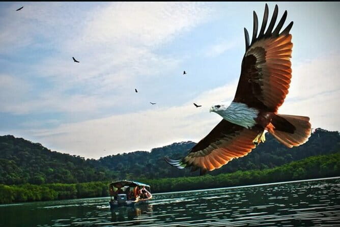 Private Tg Rhu Mangrove Forest Boat Tour With Lunch on A Floating Restaurant - Why Tanjung Rhu makes a good half-day plan