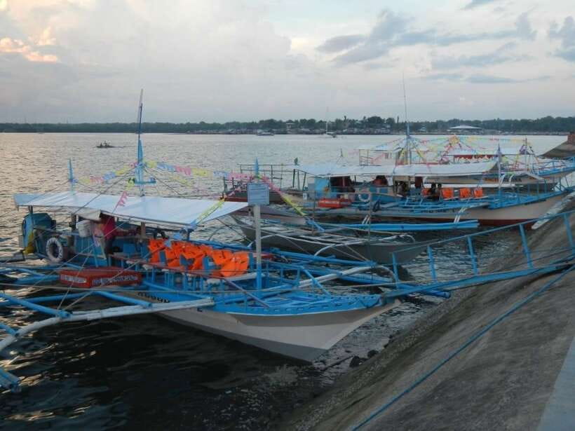 Puerto Princesa: Firefly Watching Bay Cruise with Dinner - What the $34 price really covers