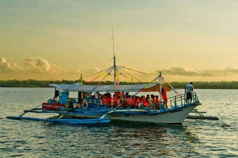Puerto Princesa: Firefly Watching Bay Cruise with Dinner - Booking advice and final call