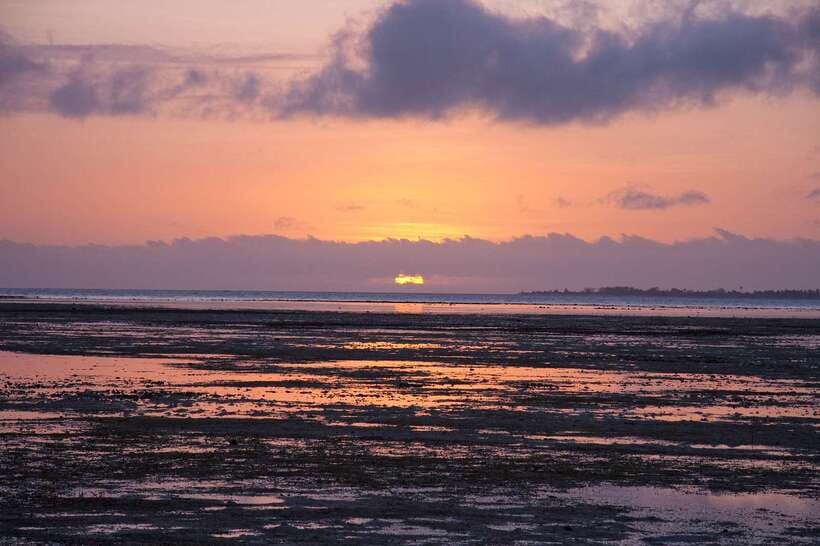 Puerto Princesa: Firefly Watching Bay Cruise with Dinner - Pickup near Puerto Princesa Airport