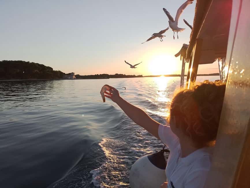 Pula: Brijuni Dolphins Sunset Cruise with Dinner and Drinks - The dolphin search near Brijuni