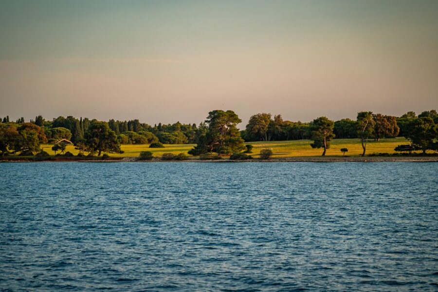 Pula: Brijuni National Park Sunset, Dolphins & Dinner Cruise - Sailing toward Brijuni National Park