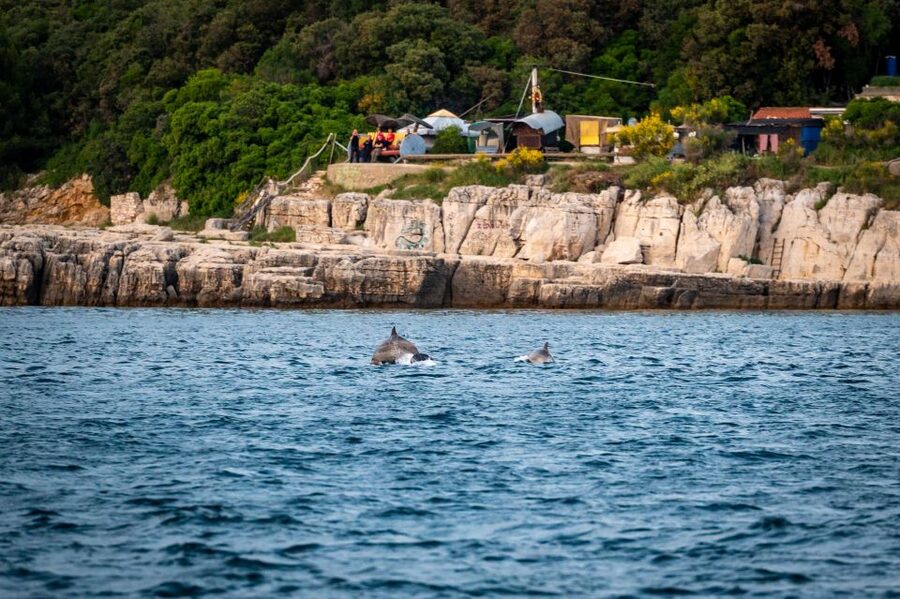 Pula: Brijuni National Park Sunset, Dolphins & Dinner Cruise - Dinner from the small onboard galley