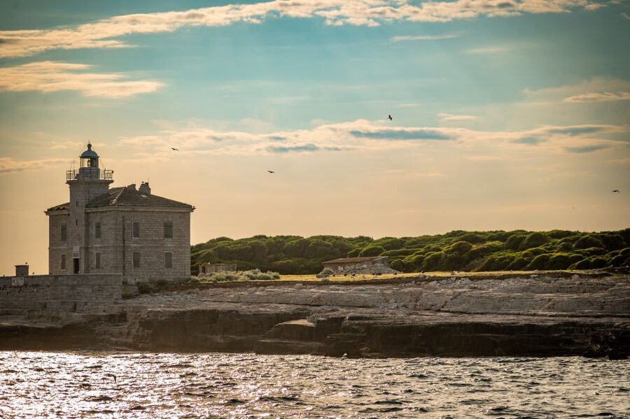 Pula: Brijuni National Park Sunset, Dolphins & Dinner Cruise - Practical tips for a better evening