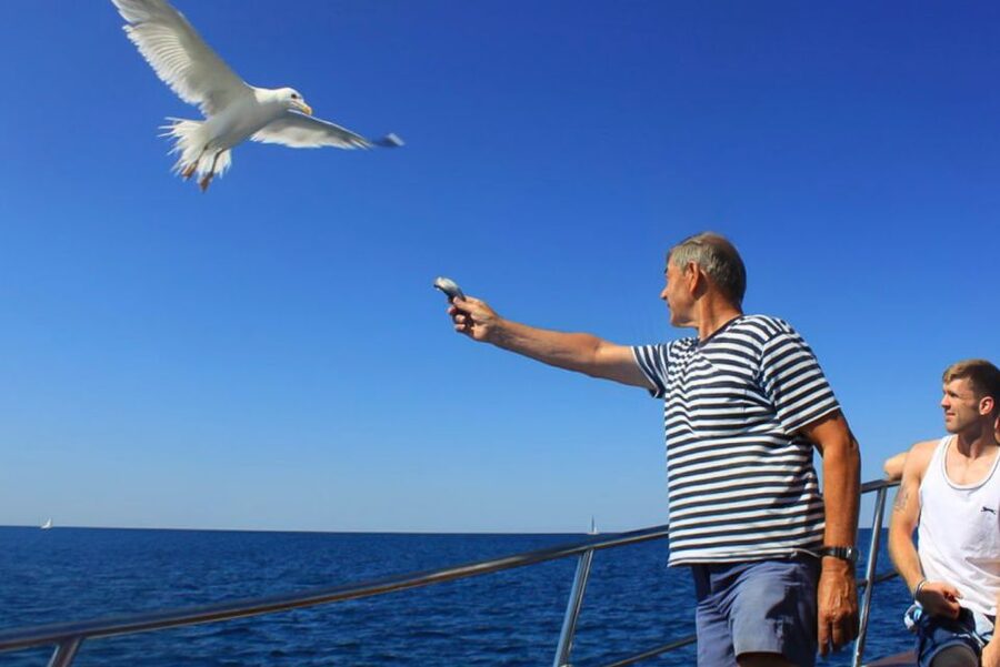 Pula: Dolphin Watching Sunset Cruise with Dinner & Drinks - Heading toward Brijuni National Park