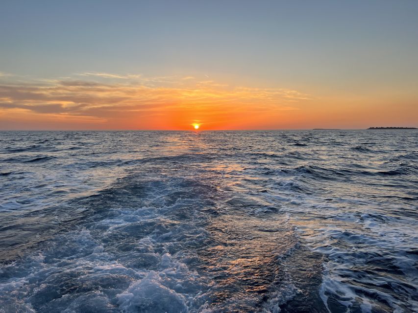 Pula: Dolphin Watching Sunset Cruise with Dinner & Drinks - What dinner is really like on board