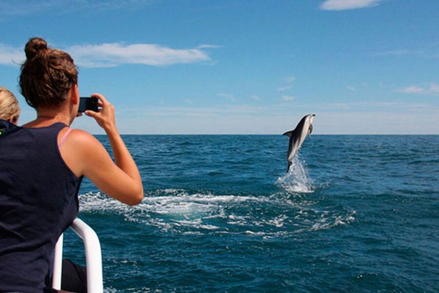 Pula: National Park Brijuni Dolphin Cruise with Dinner - Leaving Pula for the Brijuni waters