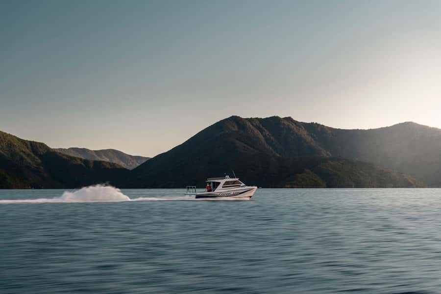 Queen Charlotte Sound Cruise with Lunch - Key points to know before booking