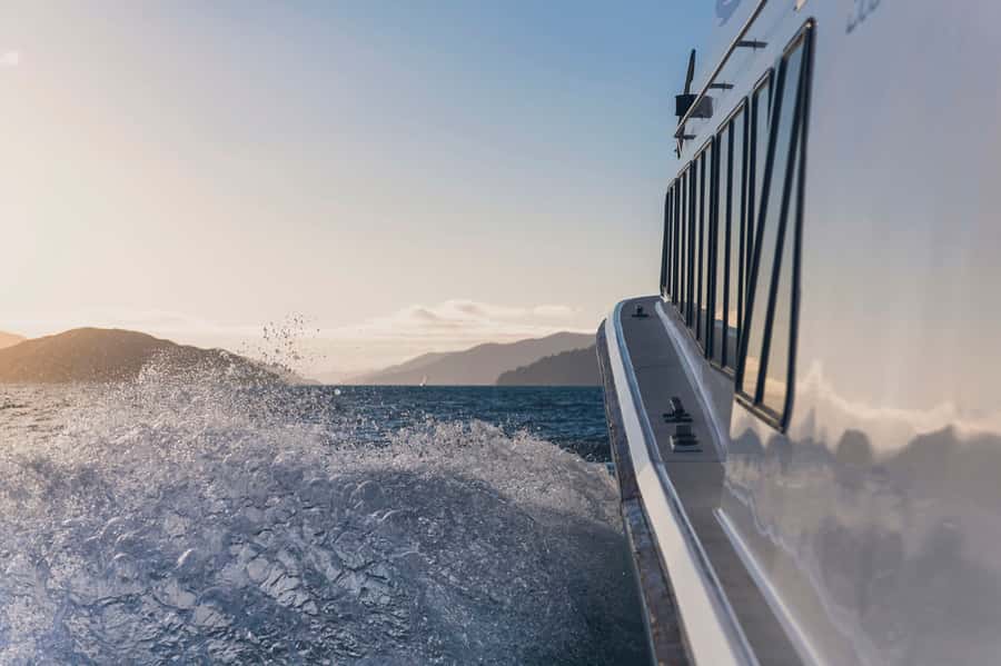 Queen Charlotte Sound Cruise with Lunch - What lunch includes at the lodge