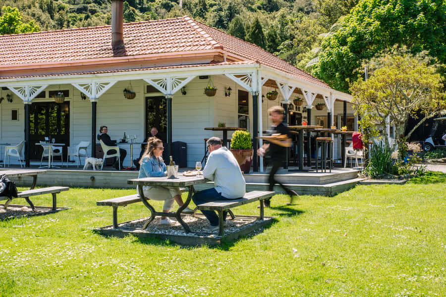 Queen Charlotte Sound Cruise with Lunch - Is $96 good value?