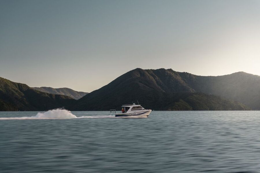 Queen Charlotte Sound Cruise with Lunch - My recommendation for Queen Charlotte Sound Cruise with Lunch