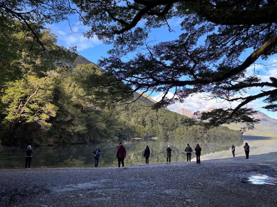 Queenstown: Milford Sound Small-Group Tour w Cruise & Lunch - Lake Gunn and the Hollyford River