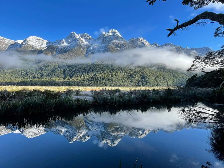 Queenstown: Milford Sound Small-Group Tour w Cruise & Lunch - Homer Tunnel is the dramatic gateway