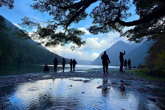 Queenstown to Te Anau via Milford Sound inc Cruise & Lunch - Why this Milford Sound trip works well as a one-way journey