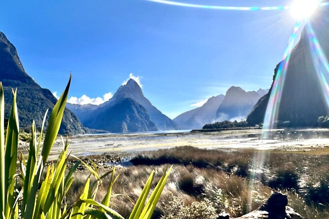 Queenstown to Te Anau via Milford Sound inc Cruise & Lunch - The Darran Mountains and kea country