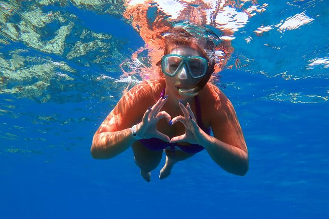 Ras Mohammed Diving & White Island Luxurious Cruise with Lunch - Key points at a glance