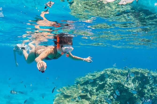 Ras Mohammed Diving & White Island Luxurious Cruise with Lunch - White Island and the pause between swims