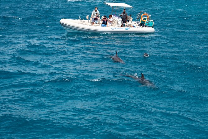 Red Sea Wonders Dolphin House Snorkeling Cruise & Lunch_ Hurghada - Lunch on the patio, with drinks through the day
