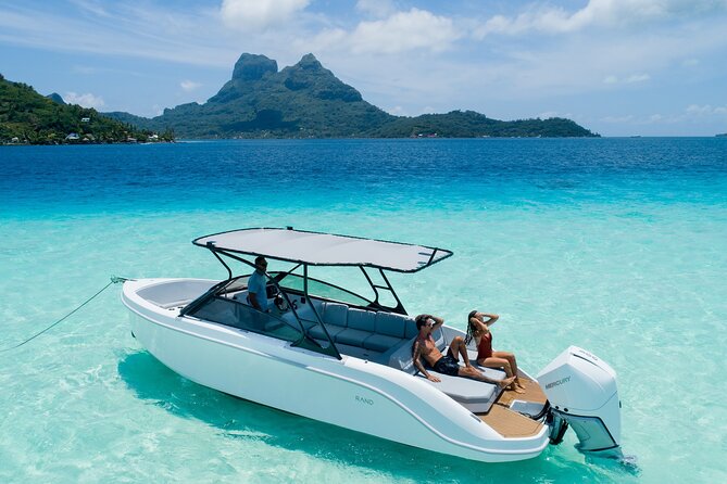 Reef Discovery Luxury Water Lunch Cruise - Key points at a glance