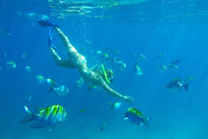 Riviera Maya Luxury Snorkeling Cruise with Lunch and Drinks - What the $139 price really buys you
