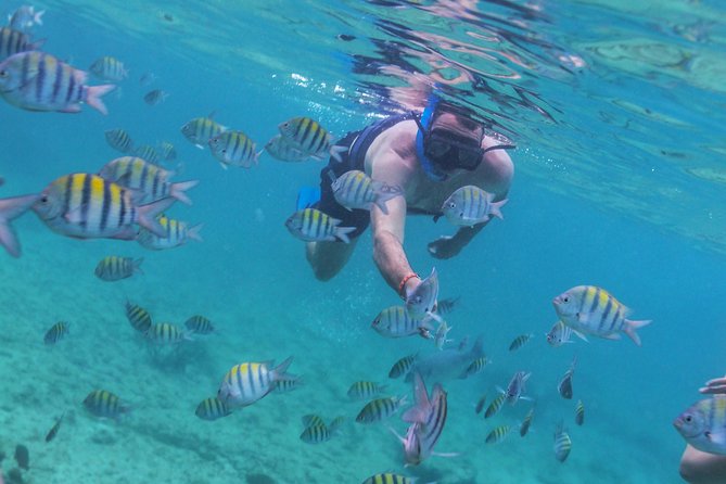 Riviera Maya Luxury Snorkeling Cruise with Lunch and Drinks - Family sailing or adults-only cruise?
