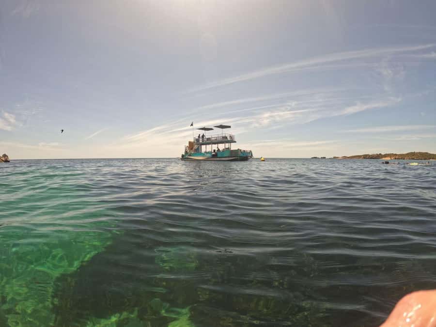 Rockingham: 3 Island Wildlife Snorkeling Cruise with Lunch - Seal Island and the Australian sea lions