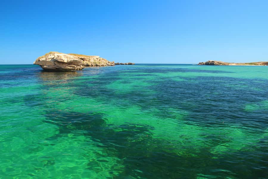 Rockingham: 3 Island Wildlife Snorkeling Cruise with Lunch - Dolphin watching from a comfortable boat