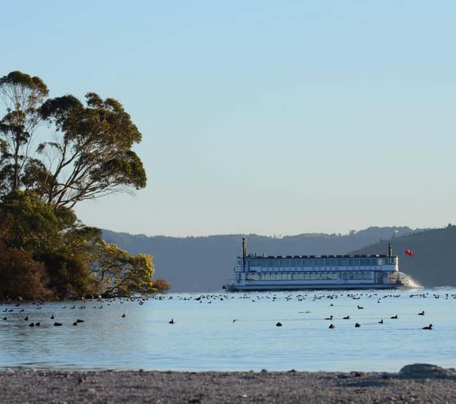 Rotorua: Lake Rotorua Cruise with Buffet Dining Option - Boarding and choosing your cruise