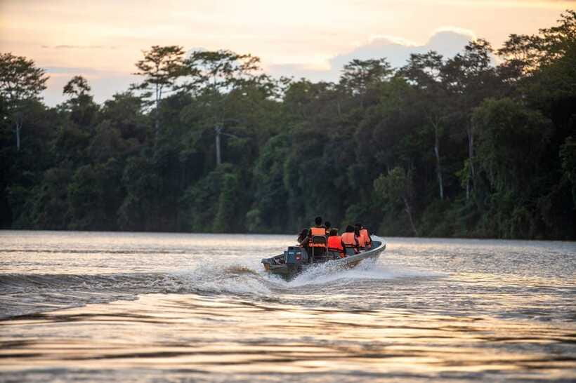 Sandakan: Kinabatangan River Wildlife Cruise with Lunch - Who should book this Sandakan wildlife trip?