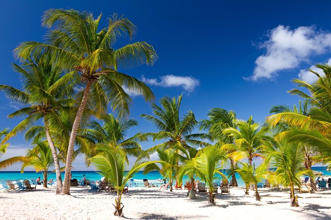 Saona Catamaran Cruise with Lunch and Natural Swimming Pool - A Saona day built around Palmilla’s clear water