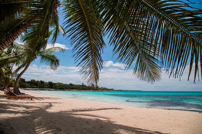 Saona Catamaran Cruise with Lunch and Natural Swimming Pool - Pack for sun, water, rocks, and waiting