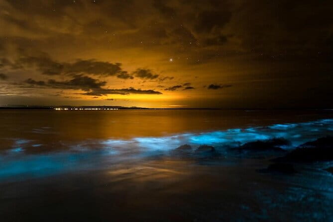 Scenic Promthep & Krating Cape Dining Experience Cruise - What the $92.90 price includes