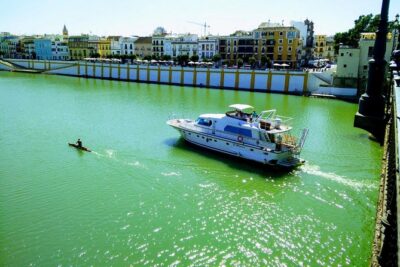 Seville: Guadalquivir River Cruise with Lunch or Dinner