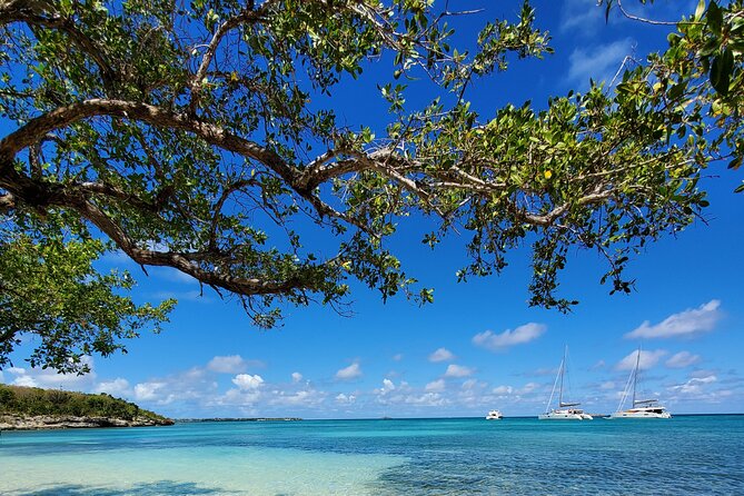 Snorkel - Lobster Lunch Cruise to Bird Island and Paradise Reef - Should You Book the Bird Island Cruise?