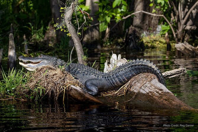 St. Johns River Lunch and Dinner Cruises in Sanford, Florida - Service and the feel onboard