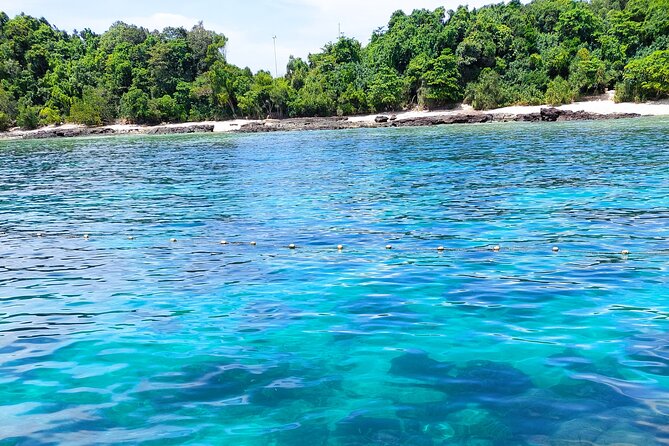 Sun & Sunset Dinner Cruise - Combine the best of both worlds - Who will enjoy this cruise most?