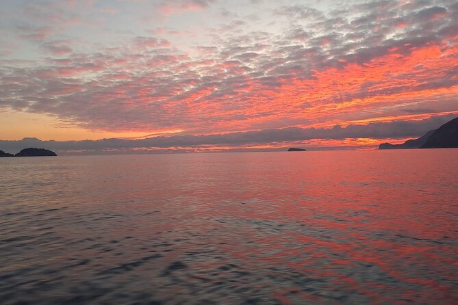 Sunset Cruise & Dinner Stop, Depart from any Amalfi Coast town! - Choosing dinner without paying for a fixed package